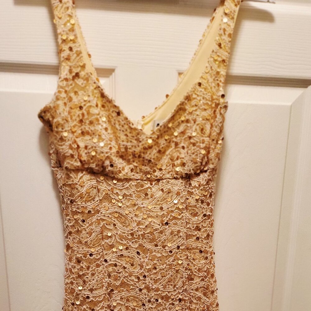 Sequins! Cream colored gown with sequins, gorgeous and fun.